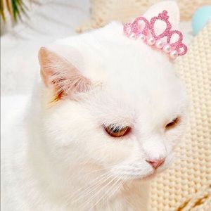 Princess crown new ❤️ pets